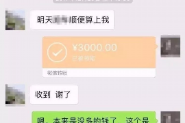 永兴为什么选择专业追讨公司来处理您的债务纠纷？